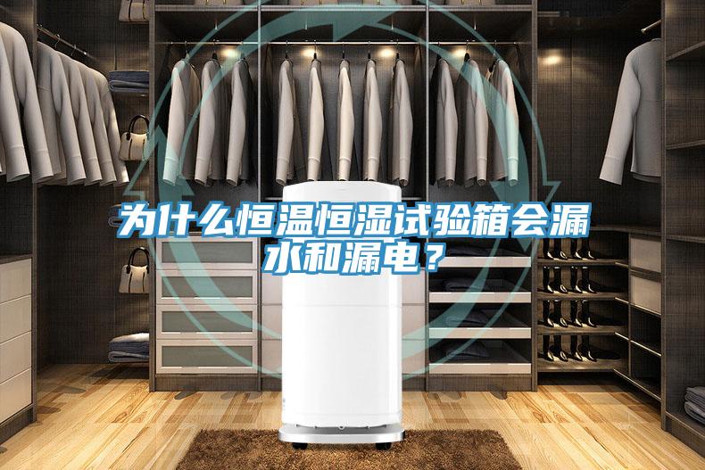 为什么恒温恒湿试验箱会漏水和漏电？