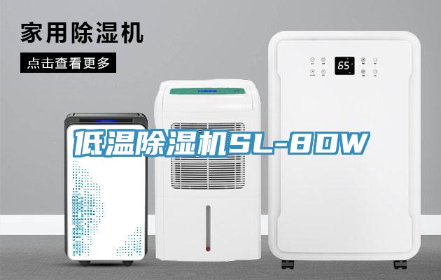 低温免费看操逼软件SL-8DW