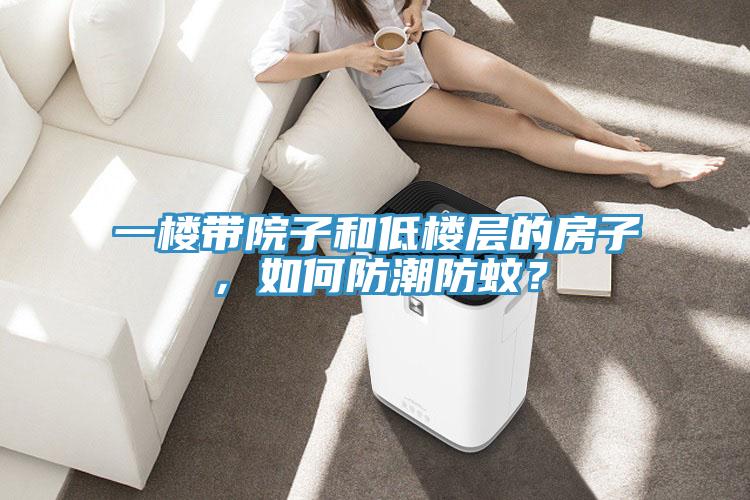 一楼带院子和低楼层的房子，如何防潮防蚊？