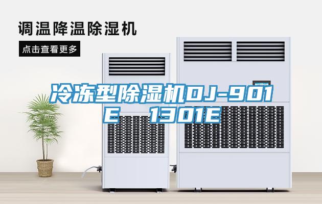 冷冻型免费看操逼软件DJ-901E  1301E