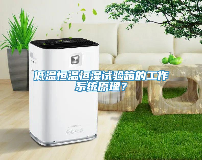 低温恒温恒湿试验箱的工作系统原理？