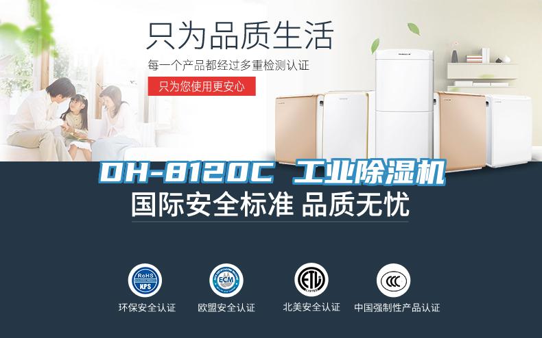 DH-8120C 工业免费看操逼软件
