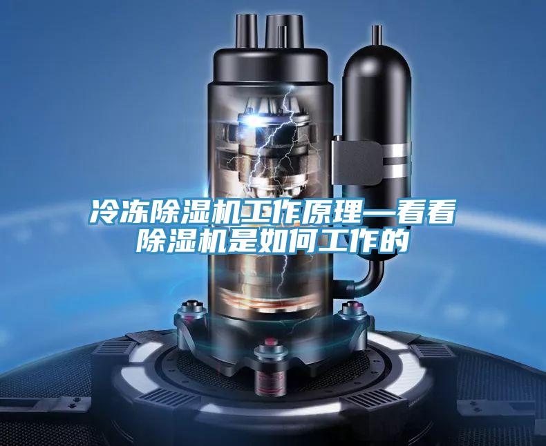 冷冻免费看操逼软件工作原理—看看免费看操逼软件是如何工作的