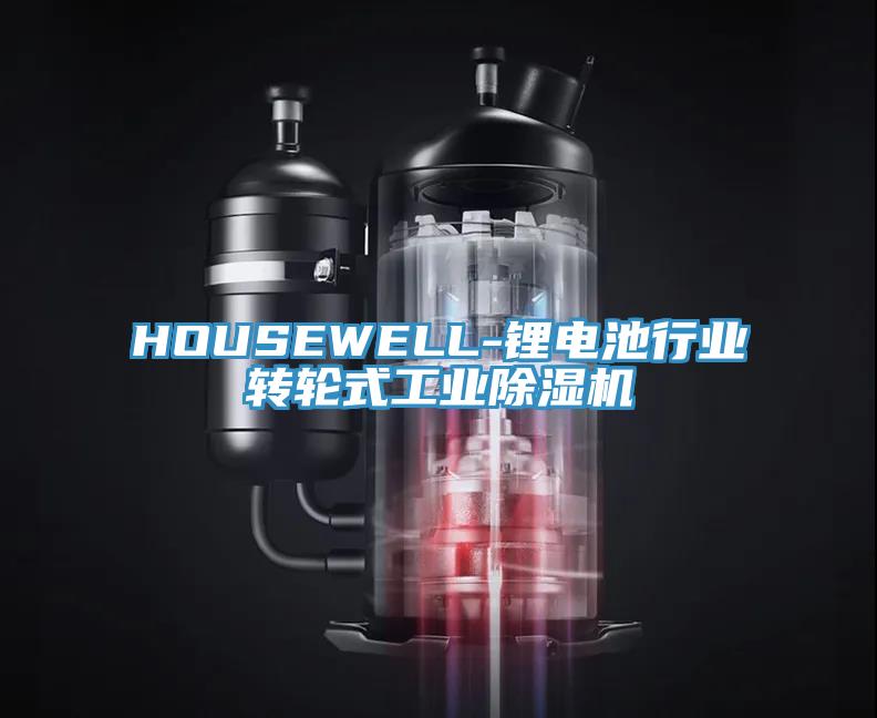 HOUSEWELL-锂电池行业转轮式工业免费看操逼软件