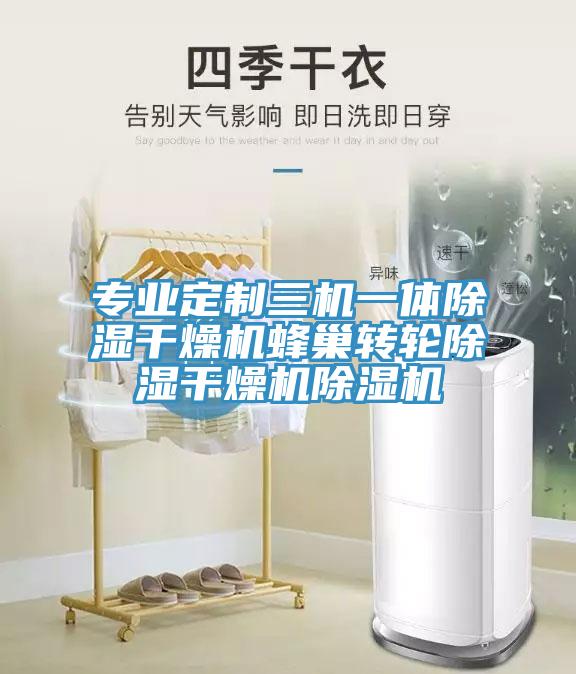 专业定制三机一体除湿干燥机蜂巢转轮除湿干燥机免费看操逼软件