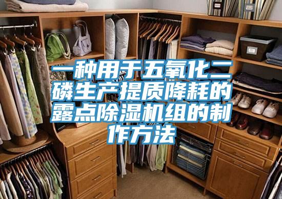 一种用于五氧化二磷生产提质降耗的露点免费看操逼软件组的制作方法