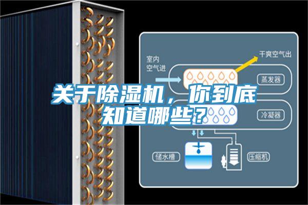 关于免费看操逼软件，你到底知道哪些？