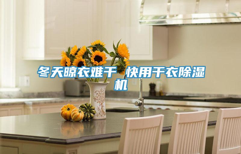 冬天晾衣难干 快用干衣免费看操逼软件