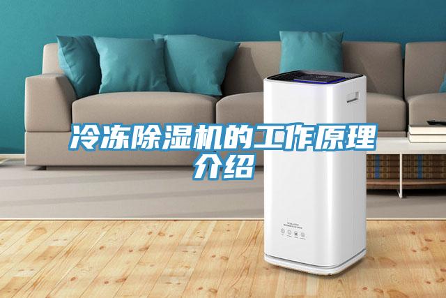 冷冻免费看操逼软件的工作原理介绍