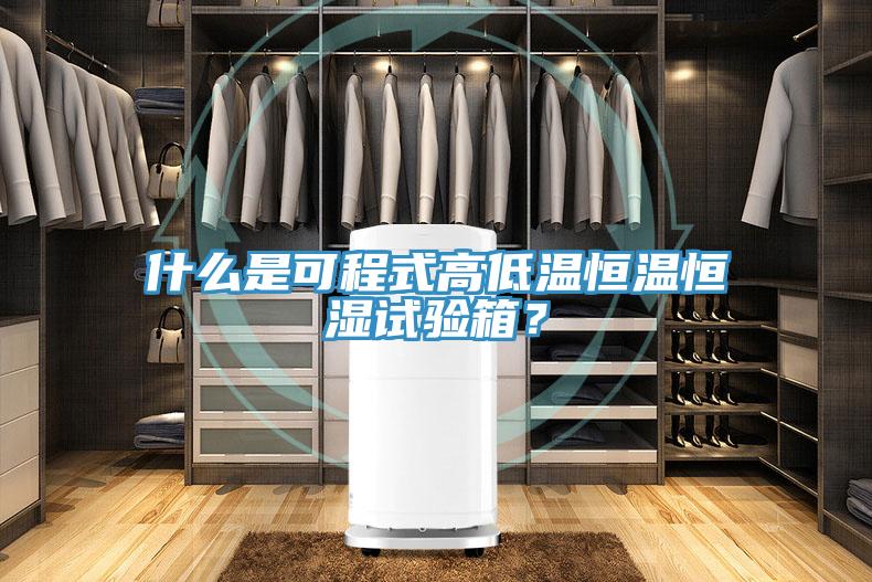 什么是可程式高低温恒温恒湿试验箱？