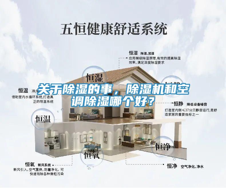 关于除湿的事，免费看操逼软件和空调除湿哪个好？