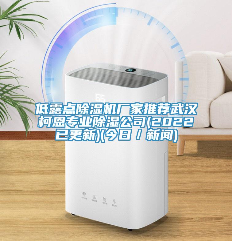 低露点免费看操逼软件厂家推荐武汉柯恩专业除湿公司(2022已更新)(今日／新闻)