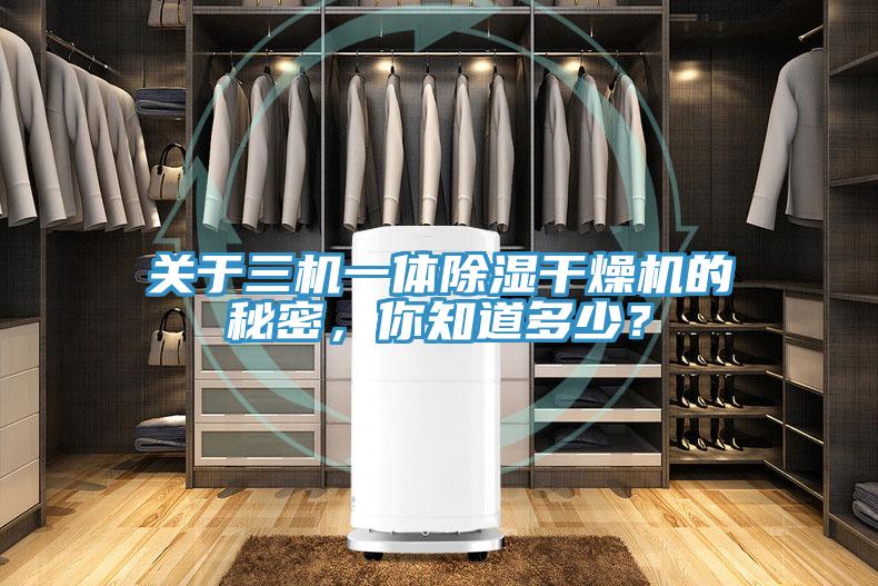 关于三机一体除湿干燥机的秘密，你知道多少？
