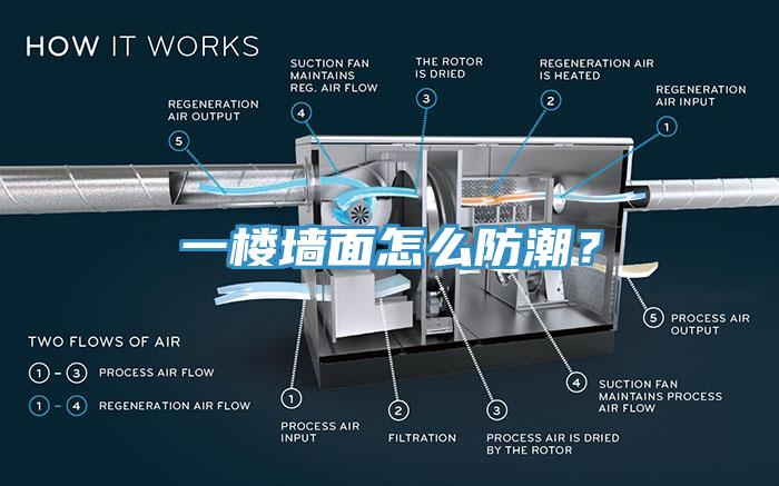 一楼墙面怎么防潮？