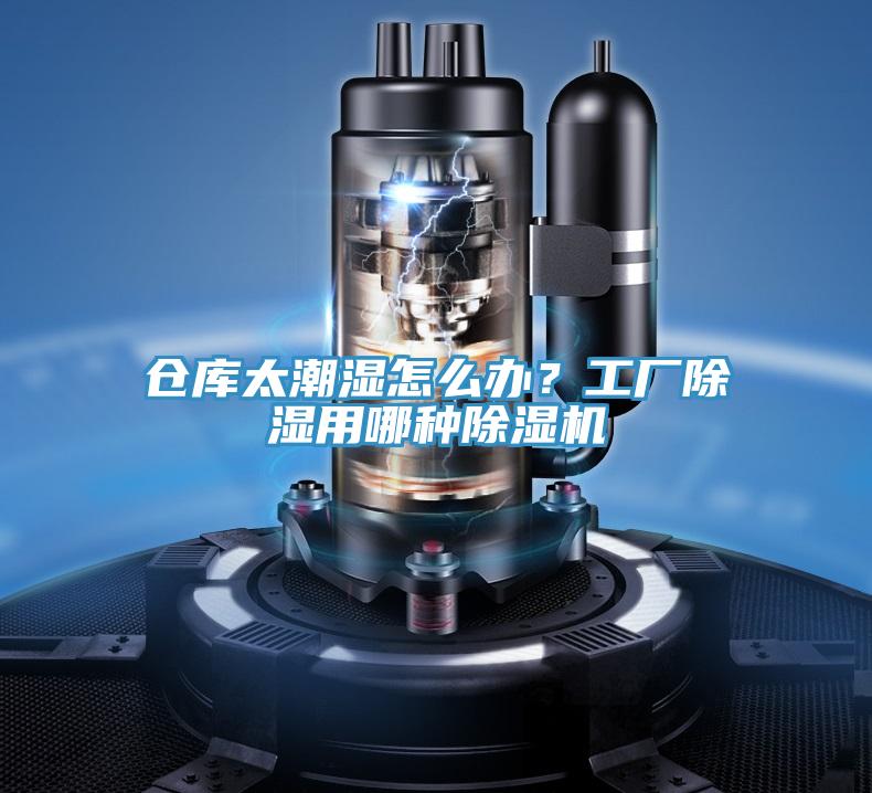 仓库太潮湿怎么办？工厂除湿用哪种免费看操逼软件