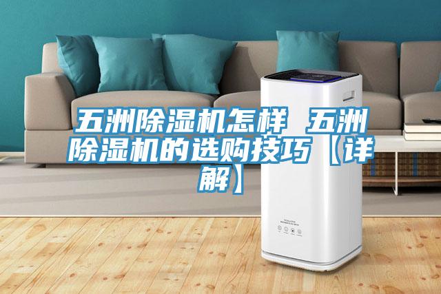 五洲免费看操逼软件怎样 五洲免费看操逼软件的选购技巧【详解】