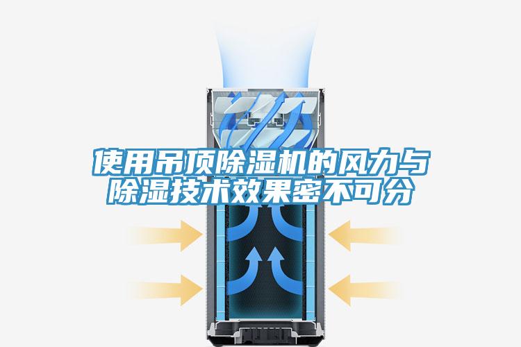 使用吊顶免费看操逼软件的风力与除湿技术效果密不可分