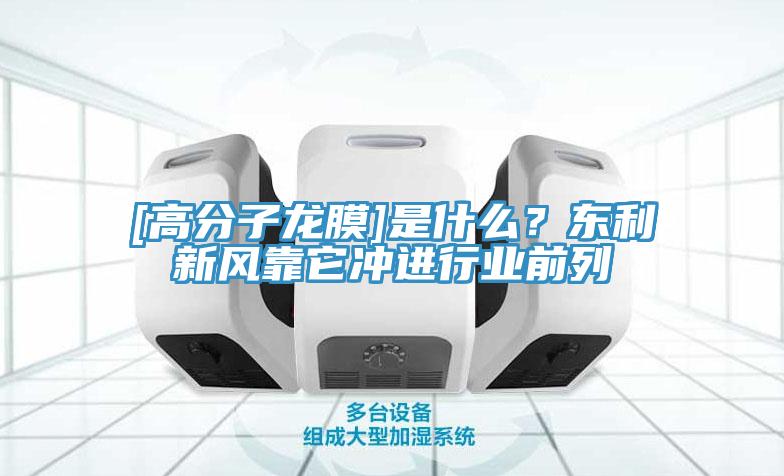 [高分子龙膜]是什么？东利新风靠它冲进行业前列
