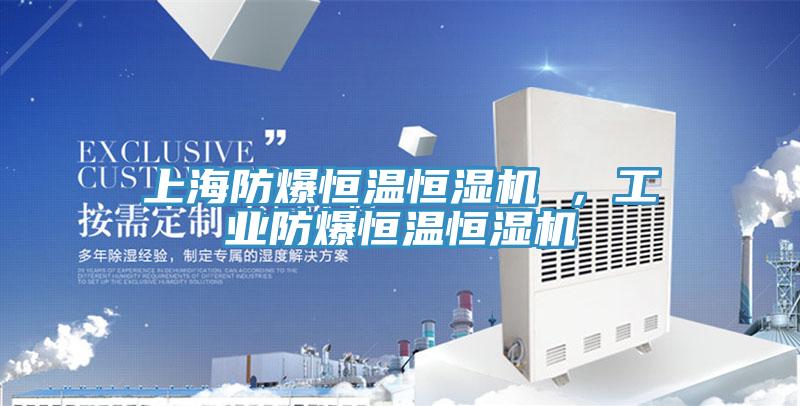 上海防爆恒温恒湿机 ，工业防爆恒温恒湿机