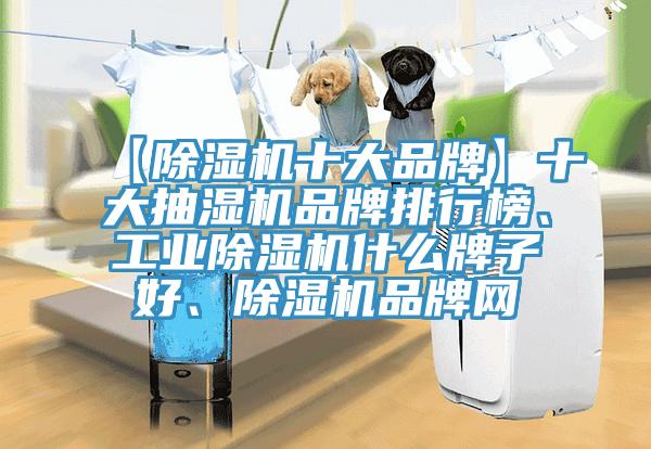 【免费看操逼软件十大品牌】十大抽湿机品牌排行榜、工业免费看操逼软件什么牌子好、免费看操逼软件品牌网