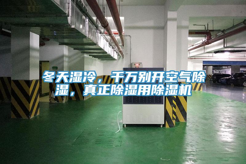 冬天湿冷，千万别开空气除湿，真正除湿用免费看操逼软件