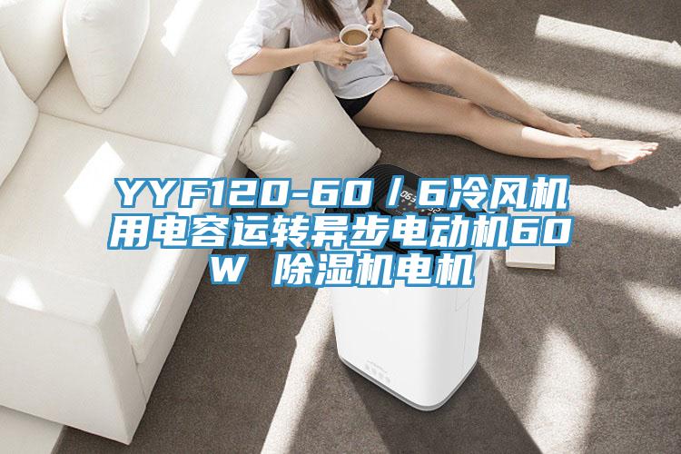 YYF120-60／6冷风机用电容运转异步电动机60W 免费看操逼软件电机