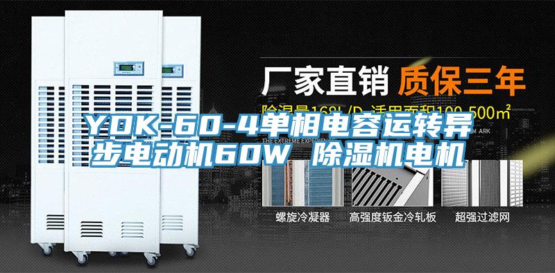 YDK-60-4单相电容运转异步电动机60W 免费看操逼软件电机