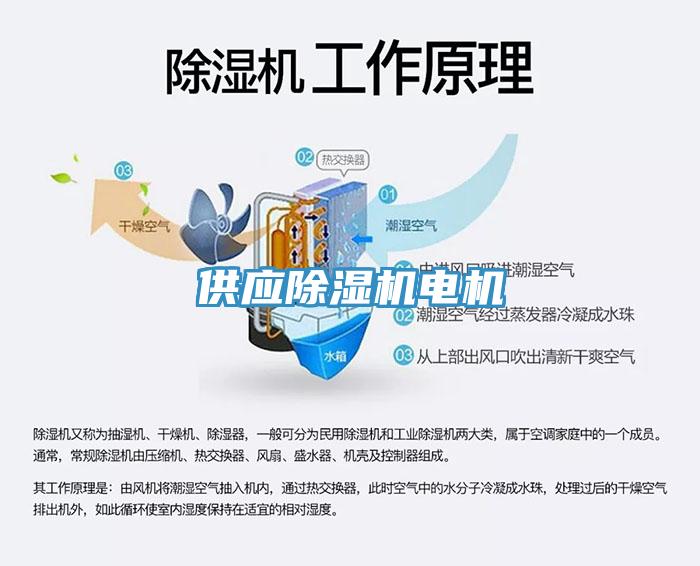 供应免费看操逼软件电机