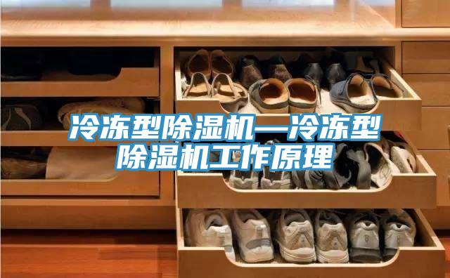 冷冻型免费看操逼软件—冷冻型免费看操逼软件工作原理