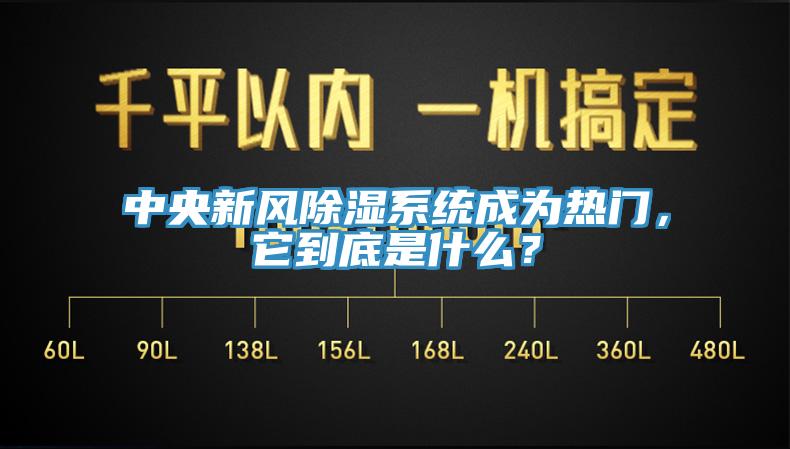 中央新风除湿系统成为热门，它到底是什么？