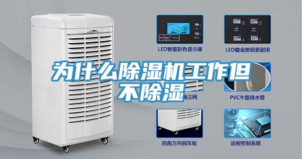 为什么免费看操逼软件工作但不除湿