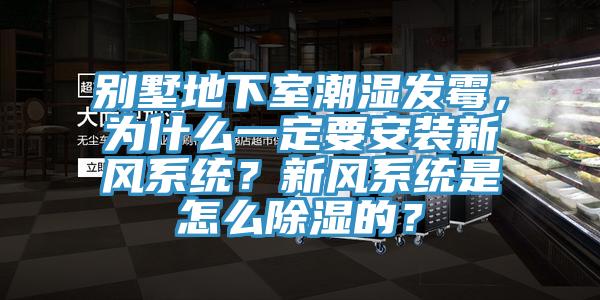 别墅地下室潮湿发霉，为什么一定要安装新风系统？新风系统是怎么除湿的？