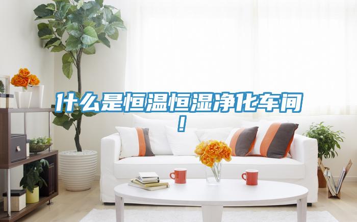 什么是恒温恒湿净化车间！