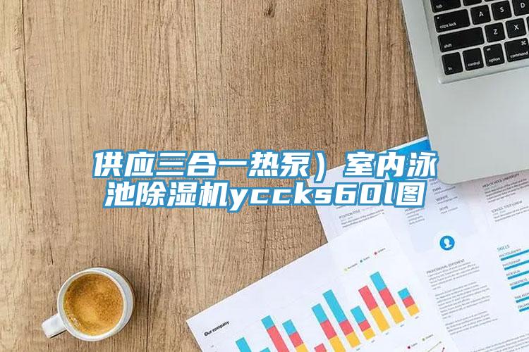 供应三合一热泵）室内泳池免费看操逼软件yccks60l图