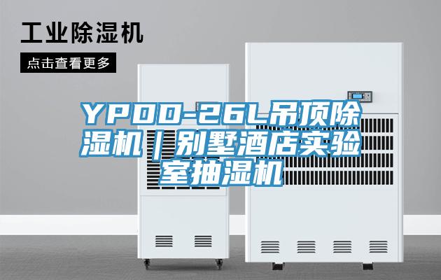 YPDD-26L吊顶免费看操逼软件｜别墅酒店实验室抽湿机
