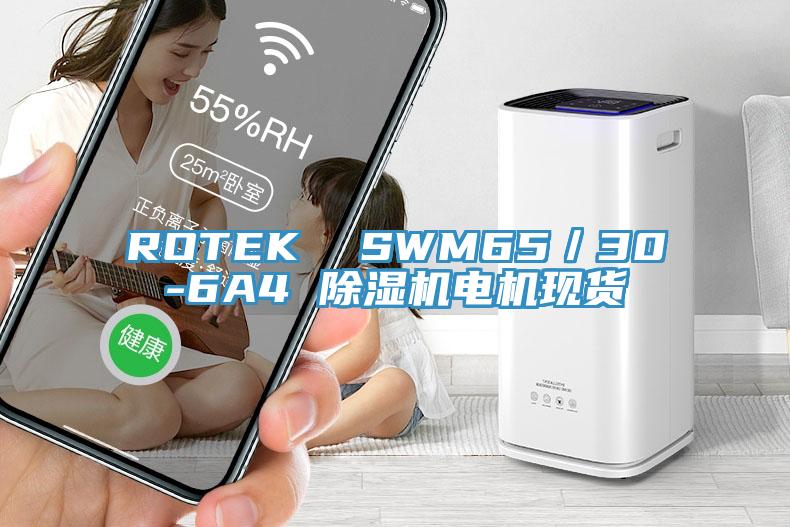 ROTEK  SWM65／30-6A4 免费看操逼软件电机现货