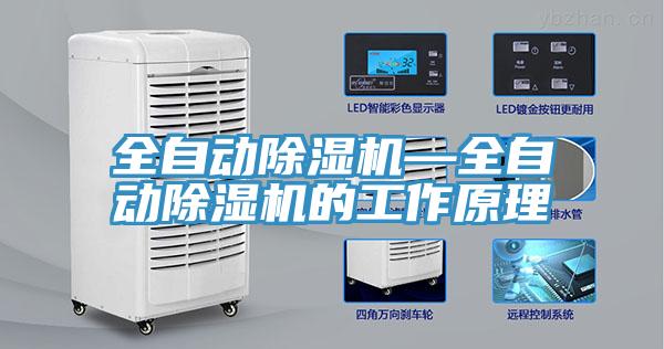 全自动免费看操逼软件—全自动免费看操逼软件的工作原理