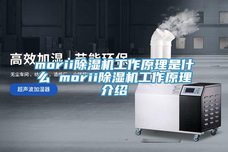 morii免费看操逼软件工作原理是什么 morii免费看操逼软件工作原理介绍