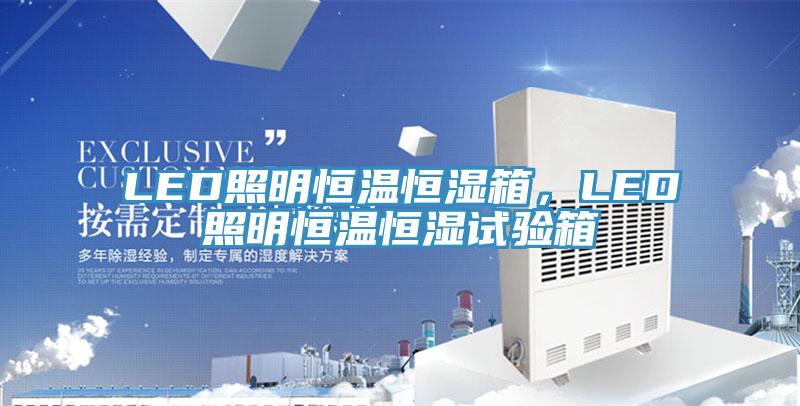 LED照明恒温恒湿箱，LED照明恒温恒湿试验箱