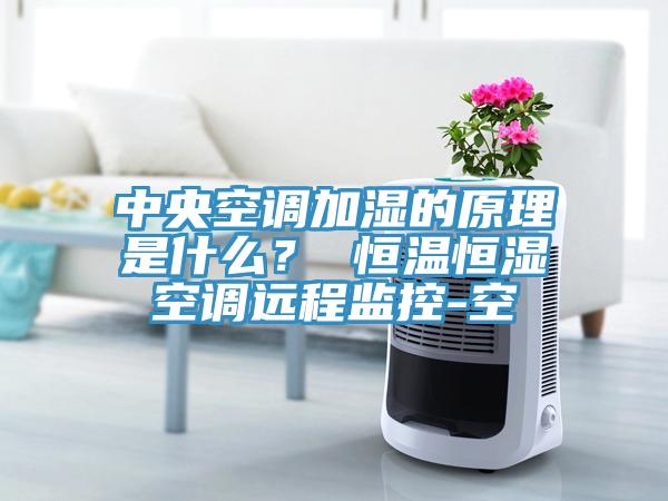 中央空调加湿的原理是什么？ 恒温恒湿空调远程监控-空
