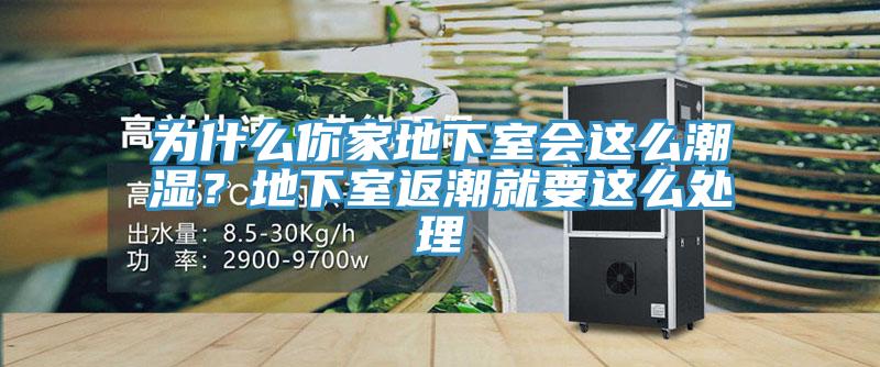 为什么你家地下室会这么潮湿？地下室返潮就要这么处理