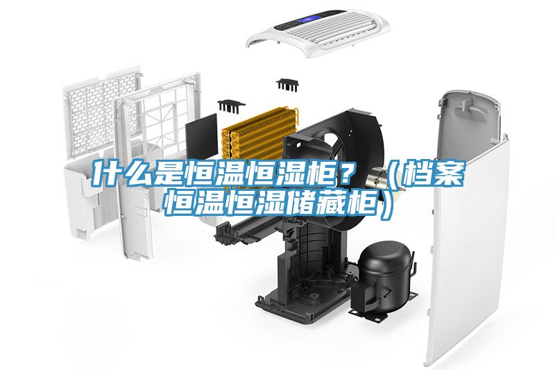 什么是恒温恒湿柜？（档案恒温恒湿储藏柜）