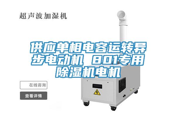 供应单相电容运转异步电动机 801专用免费看操逼软件电机