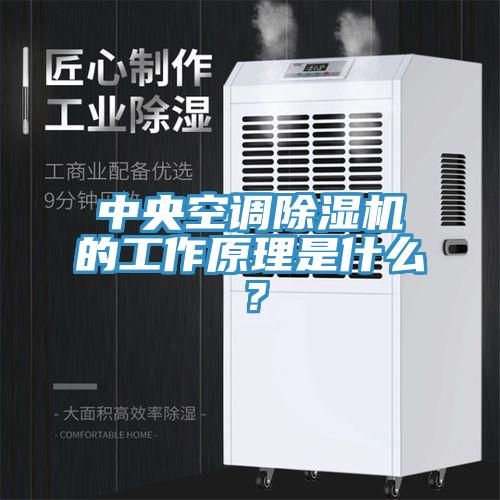 中央空调免费看操逼软件的工作原理是什么？