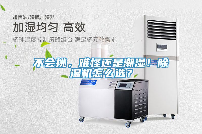 不会挑，难怪还是潮湿！免费看操逼软件怎么选？