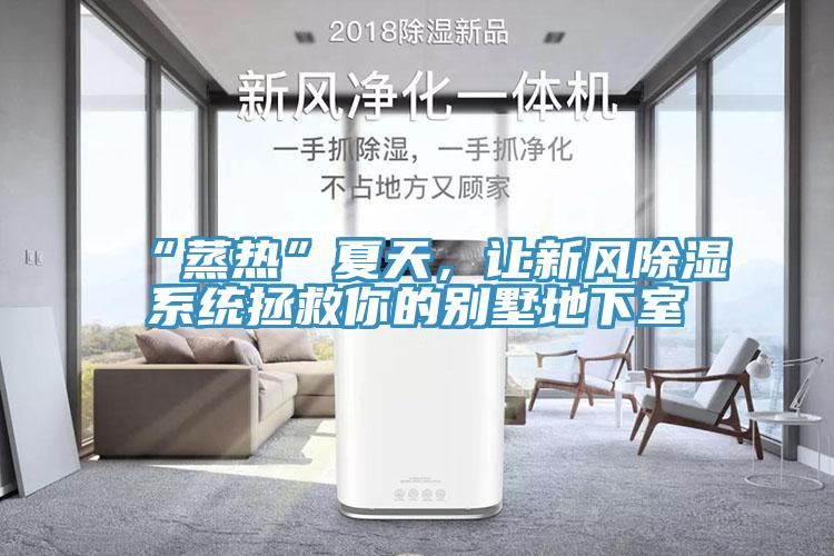 “蒸热”夏天，让新风除湿系统拯救你的别墅地下室