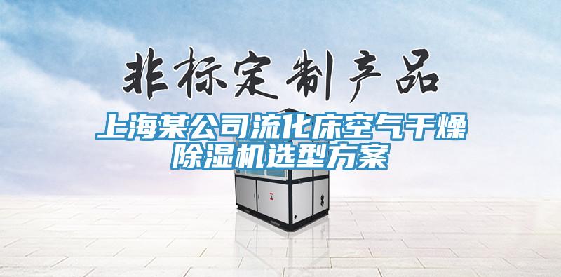 上海某公司流化床空气干燥免费看操逼软件选型方案