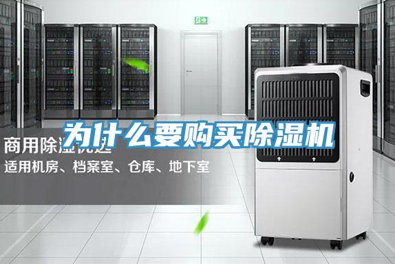 为什么要购买免费看操逼软件