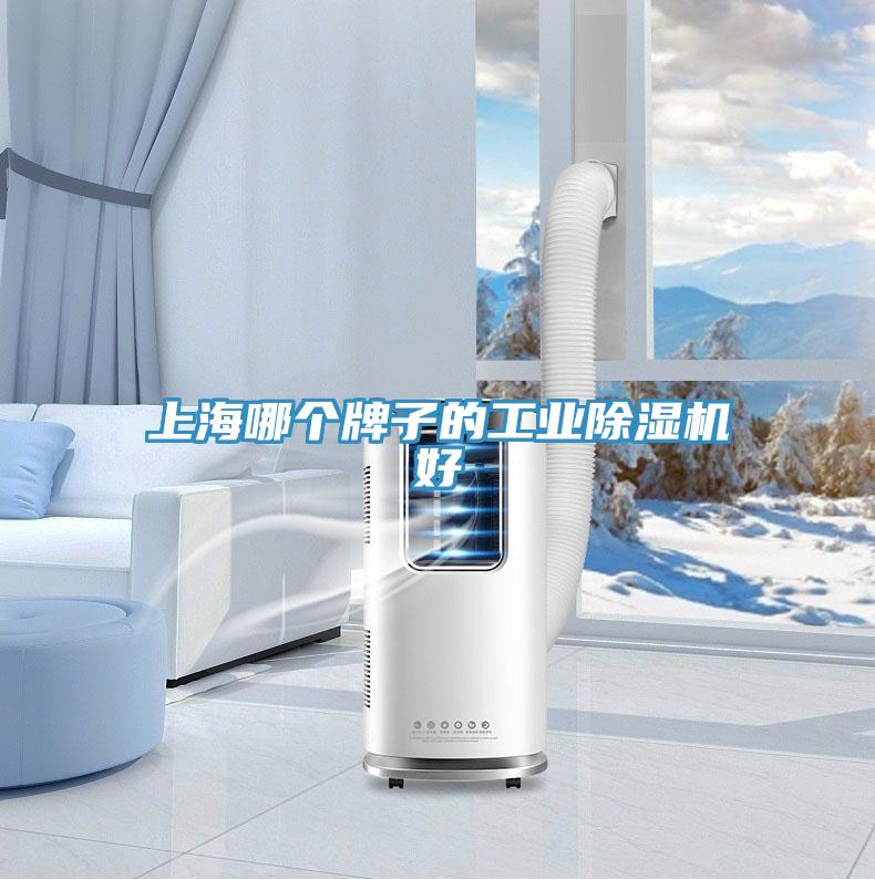 上海哪个牌子的工业免费看操逼软件好