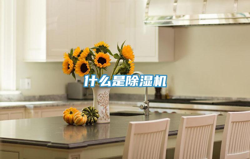 什么是免费看操逼软件